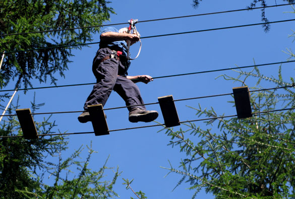 Go Ape at Whinlatter